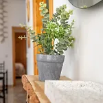 Kurtuba Apartment Córdoba